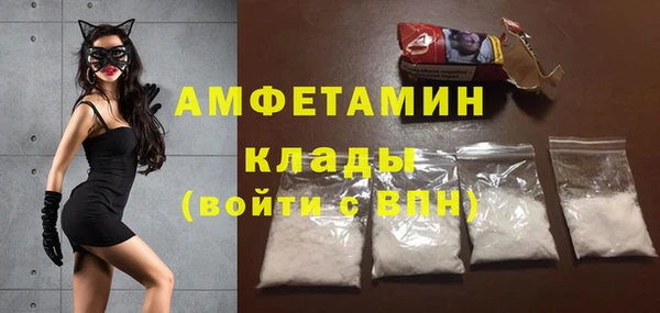 прущие грибы Богородицк