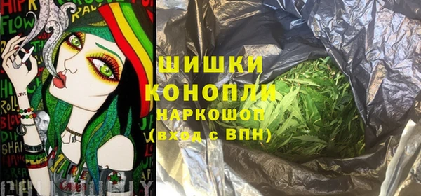 прущие грибы Богородицк