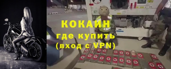 ПСИЛОЦИБИНОВЫЕ ГРИБЫ Белокуриха