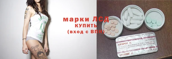 прущие грибы Богородицк