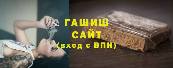 гидра Богородск