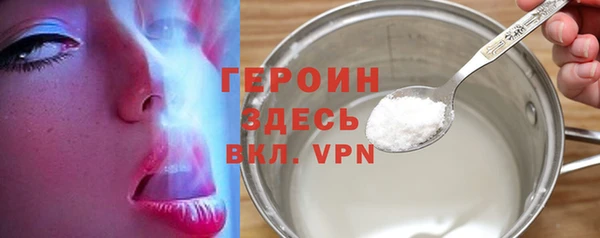 гидра Богородск