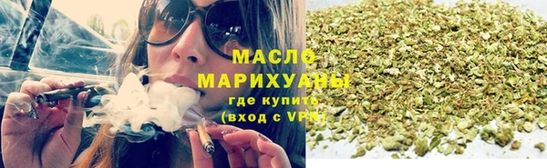 гидра Богородск