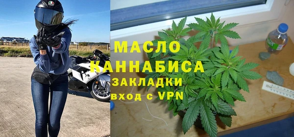 гидра Богородск