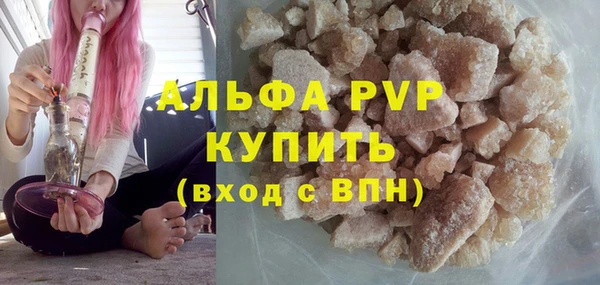 стафф Богданович