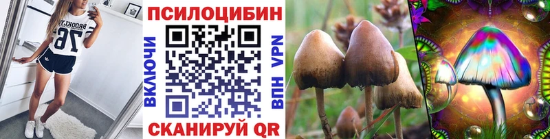 Псилоцибиновые грибы MAGIC MUSHROOMS  Верхотурье 
